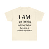 Spiritual being tshirt spiritual tee spirit being quote Christian shirt positive affirmation daily affirmation affirmation shirt