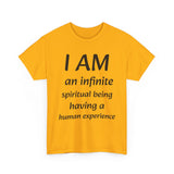Spiritual being tshirt spiritual tee spirit being quote Christian shirt positive affirmation daily affirmation affirmation shirt