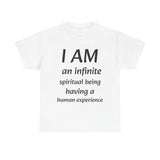 Spiritual being tshirt spiritual tee spirit being quote Christian shirt positive affirmation daily affirmation affirmation shirt