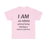 Spiritual being tshirt spiritual tee spirit being quote Christian shirt positive affirmation daily affirmation affirmation shirt