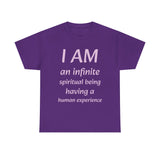 Spiritual being tshirt spiritual tee spirit being quote Christian shirt positive affirmation daily affirmation affirmation shirt