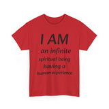 Spiritual being tshirt spiritual tee spirit being quote Christian shirt positive affirmation daily affirmation affirmation shirt
