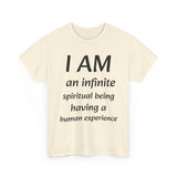 Spiritual being tshirt spiritual tee spirit being quote Christian shirt positive affirmation daily affirmation affirmation shirt