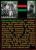 "Facts About Blacks" Black History Collector Cards.