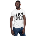 Positive Affirmation T-Shirt,  Inspirational T-Shirts, Confidence building Tees, I Am Opulent T-Shirt